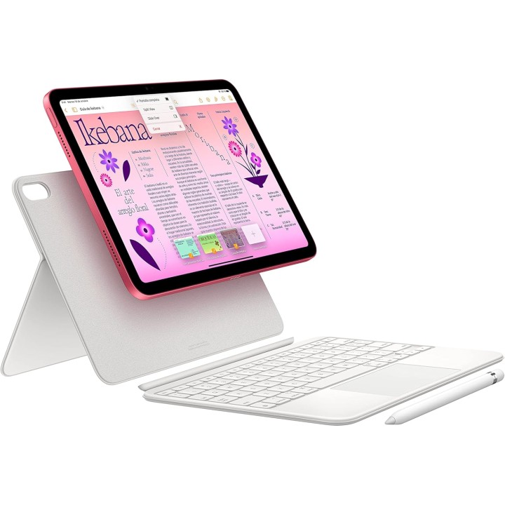 iPad 10e génération Wi-Fi 256 Go rose - Écran Liquid Retina 10,9 pouces