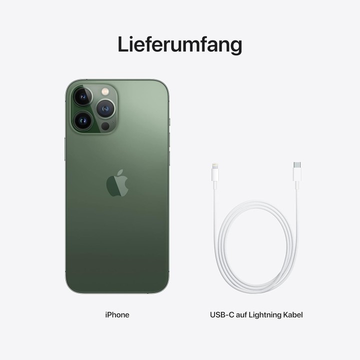 iPhone 13 Pro Max 256 Go - Vert alpin - Apple - 6,7 pouces