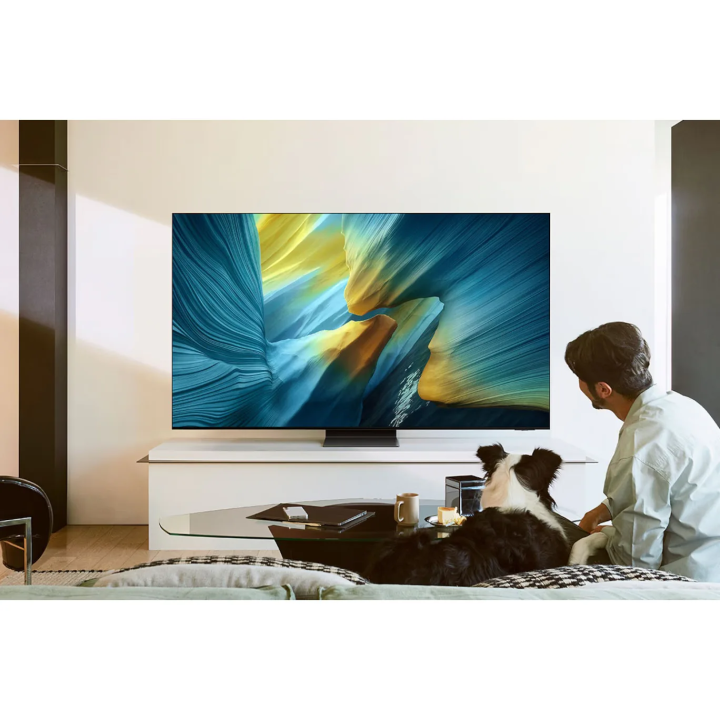 TV QD-OLED 4K 65 pouces Samsung TQ65S95FAT Smart TV