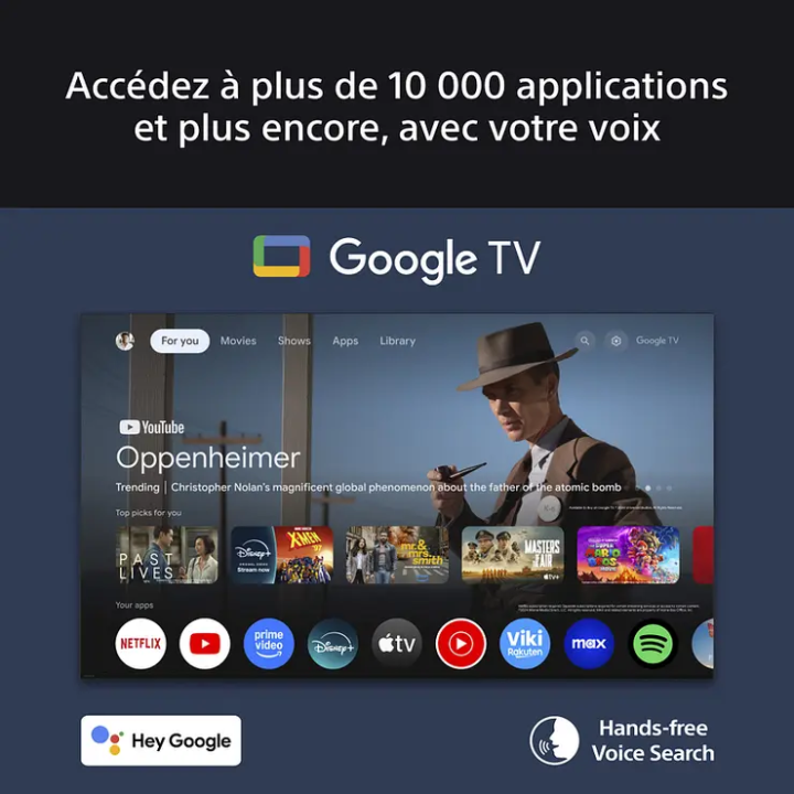 TV LCD/LED 4K 85 pouces Sony K85S35BP - Smart TV 