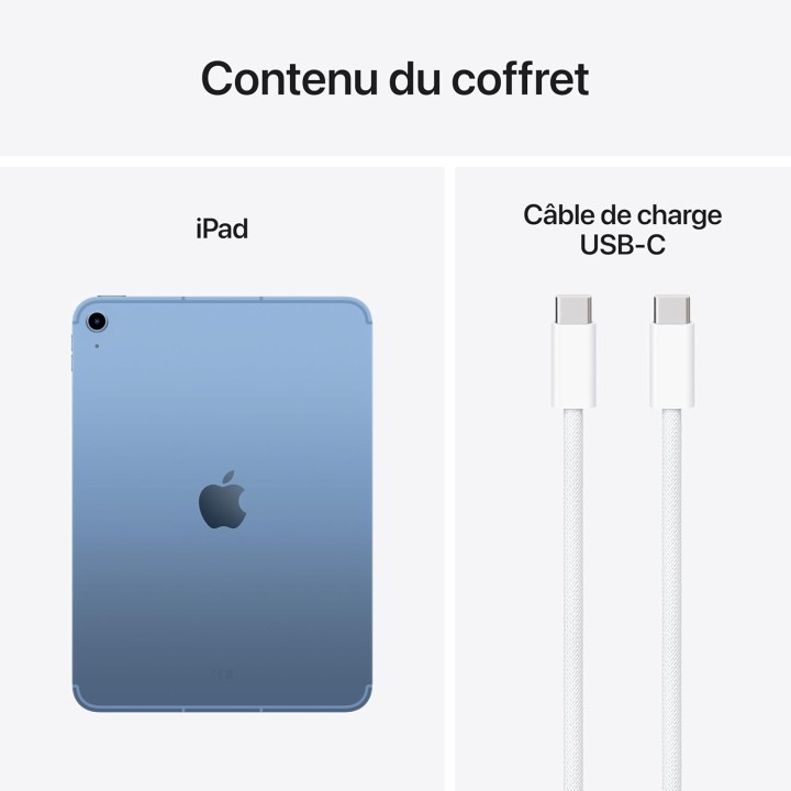 iPad Apple 11 pouces Liquid Retina - 128 Go Wi-Fi 6 et 5G - Bleu