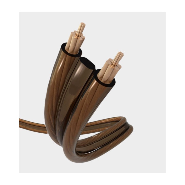 Câble haut-parleur HP Real Cable TDC300F - Cuivre OFC 99,99 % - Section 2 x 3 mm²