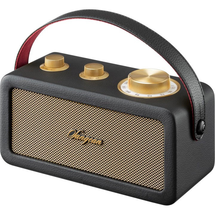 Radio Bluetooth portable rétro - FM, batterie 19h, design noir or