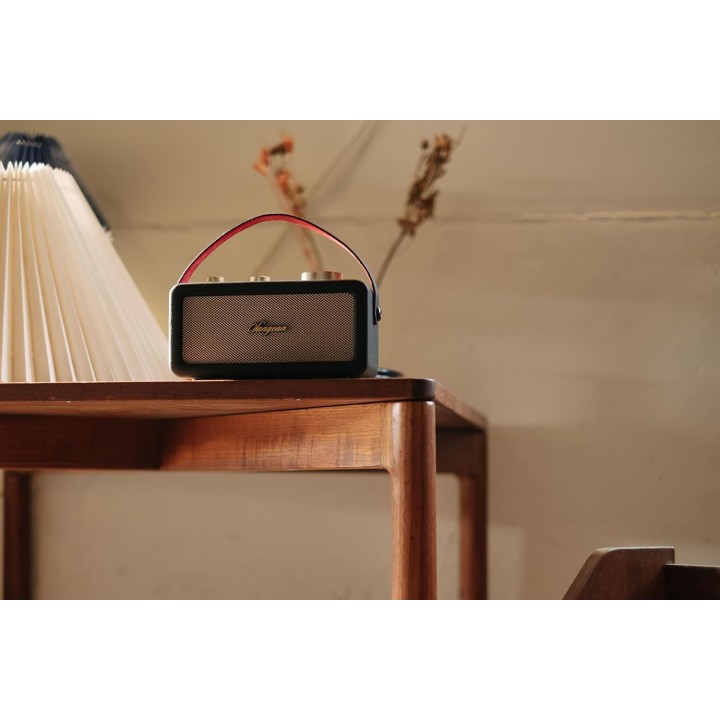 Radio Bluetooth portable rétro - FM, batterie 19h, design noir or