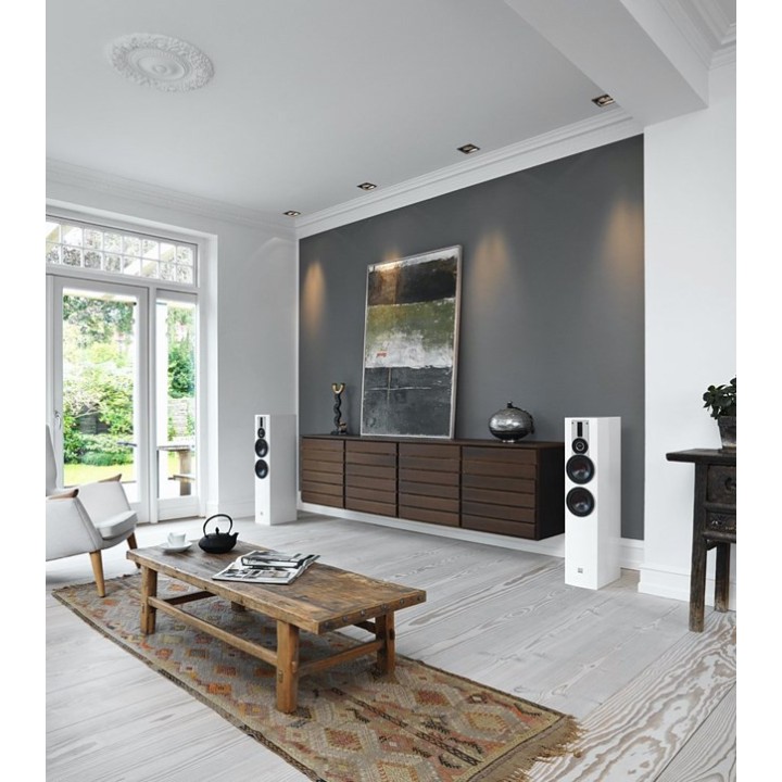 Enceintes colonne DALI Rubicon 6 – Paire finition noyer