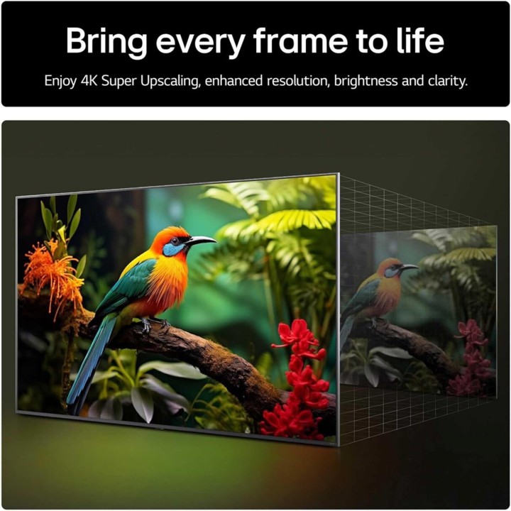 TV 4K Ultra HD 65 pouces LG - Smart TV webOS 25, AI α7 Gen8, HDR10, HDMI