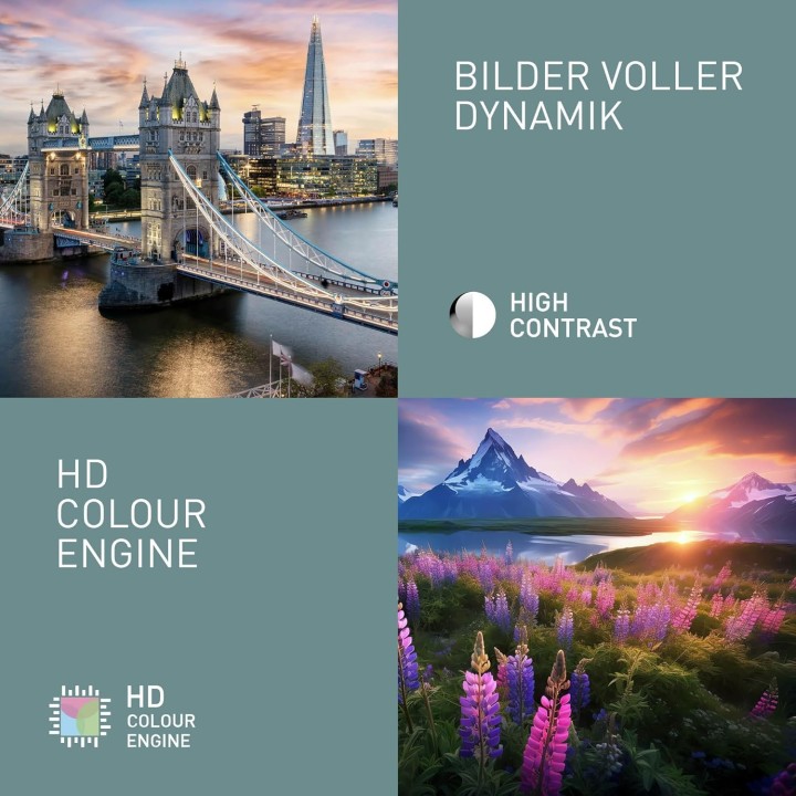 TV LED HD 24 pouces Panasonic TS-24N30AEZ - USB Media Player, Triple Tuner, montage mural