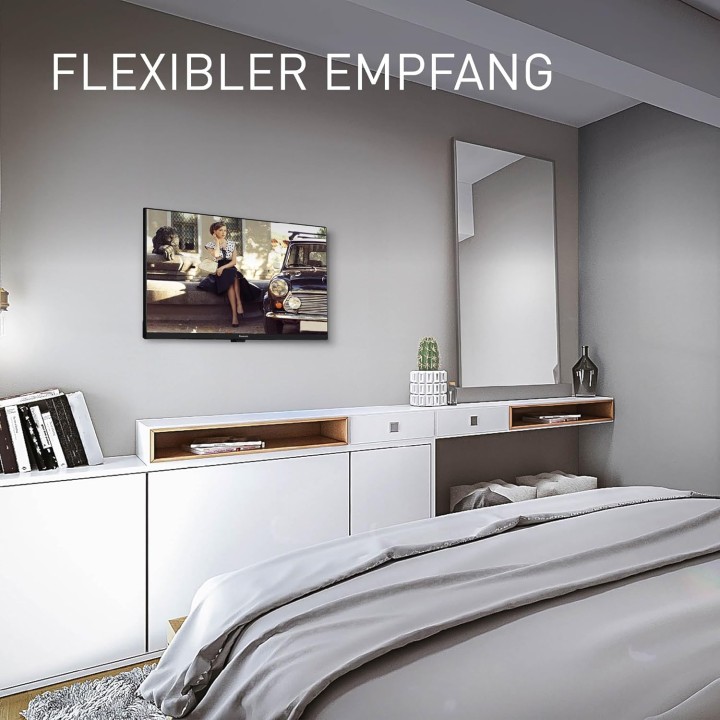 TV LED HD 24 pouces Panasonic TS-24N30AEZ - USB Media Player, Triple Tuner, montage mural