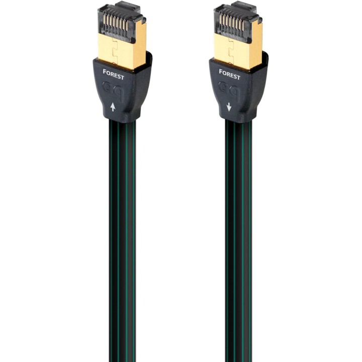 Câble Ethernet RJ45 haut débit 3 m - AudioQuest Forest, conducteurs argentés