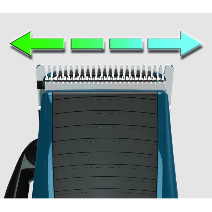 Tondeuse cheveux Remington HC5020 - Lames inox auto-affûtées, 5 sabots, accessoires