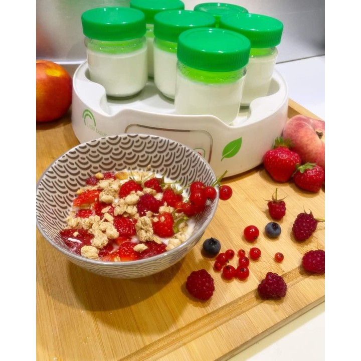 Yaourtière digitale 13 pots en verre - Timer programmable et arrêt automatique LITTLE BALANCE