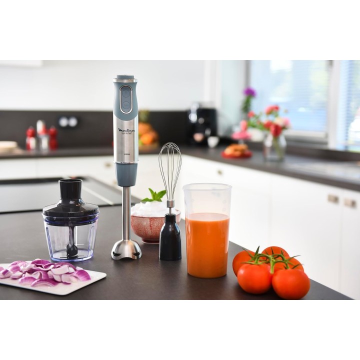 Mixeur plongeant inox Moulinex 1000 W – 10 vitesses, accessoires fouet et hachoir