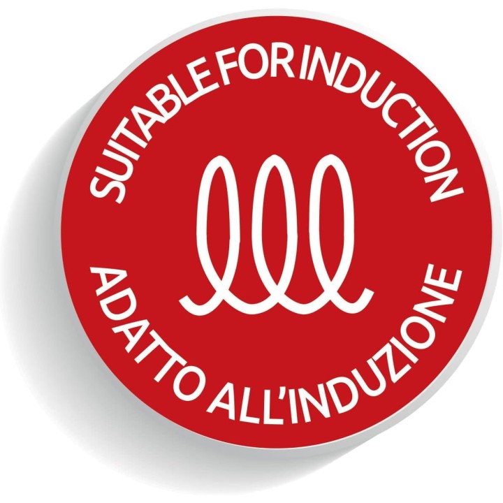 Poêle 24 cm antiadhésive titane Lagostina Tempra - Inox induction manche silicone