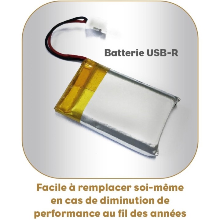 Balance de cuisine USB rechargeable extra plate 10 kg bambou - Little Balance 8712